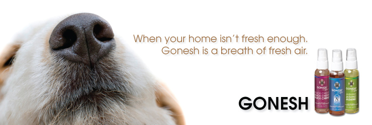 Gonesh