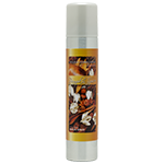 Holiday Homecoming - Pumpkin Spice Room Spray